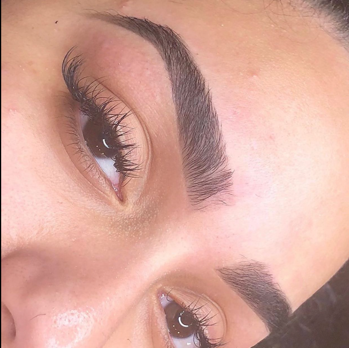Eyebrow Wax & Tint Membership